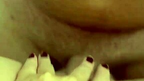 Alineflavio shares hentai update from September 11, 2024