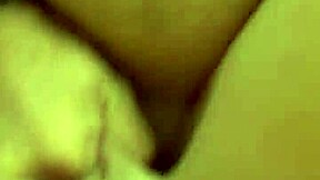 Alineflavio shares hentai update from September 11, 2024