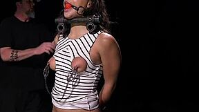 Hairy pussy gets toyed hard in wild bondage setups