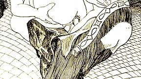 Vintage erotic drawings tease timeless fantasies