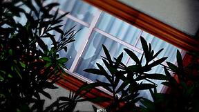 yo, sword art online ntr finale is wild!