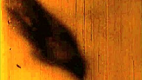 Vintage erotic drawings tease timeless fantasies