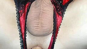 Love Feeling My Thrusting Dildo Going Deep