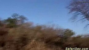 Chubby african babe gets outdoor deepthroat and cumshot