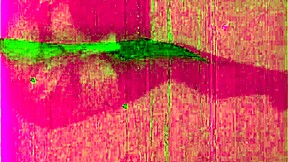 Vintage Erotic Drawings Collection