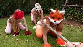 quadrobers - who are they