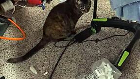 we got a new anime girl to model