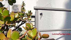 햇볕에 탄 피부가 죄악에 휩쓸려