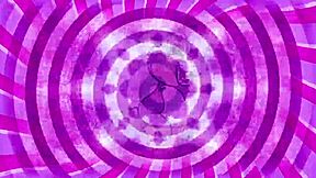 curious sissy exploring femdom cock worship instructions