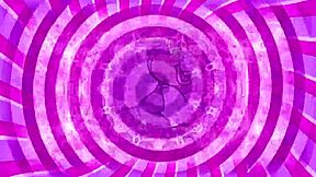 curious sissy exploring femdom cock worship instructions