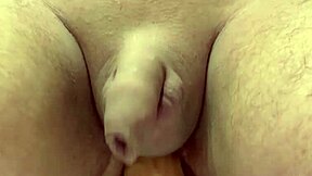 Training my ass to prolapse with buttplug, toys, and dildo in this hentai anime series.