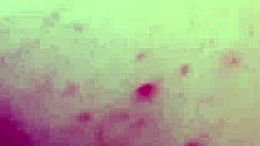 licking hairy pussy till orgasm with chubby mature milf amateurs