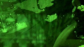 Laura Angel gets intense bent over doggystyle from interracial cock in private hardcore