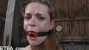 sadomasochism play with bondage oral blowjob