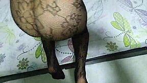 couple enjoys intimate moment in sexy stockings