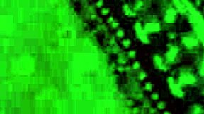 Cedella Kors Oils Up Her Banging Body and Masturbates Wet Pussy