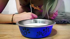 Bella la seducción hecha gata masturbating!