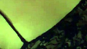 Stephanie Clover's Shemale Allure