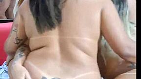 i swallowed at the motel orgy with big tits