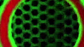 Angelina Castro Joslyn Jane Share Bisexual Passion