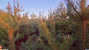 Homemade MILF Begs: Don't Cum Inside Her Pussy!