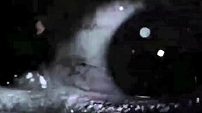 vintage erotic drawings of antique fantasies