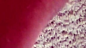 Jessie Palmer Begs Harder Fuck In Amateur Scene