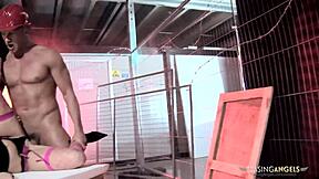 Stunning Brunette Chick Gets Mouth And Cunt Stuffed With Fat Shaft