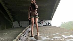 Kitty Experiences Outdoor Public Pissing