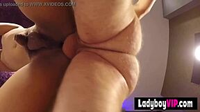 cute skinny asian ladyboy in pov thai style