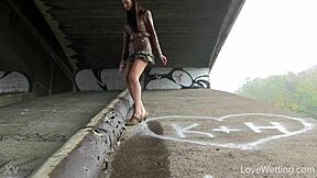 Kitty Experiences Outdoor Public Pissing