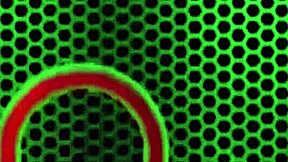 Harmony Rose passionately loves big black cocks