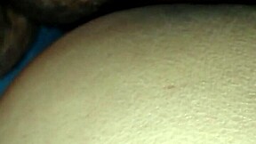 I loves Mexico, its so beautifull and vibrant.