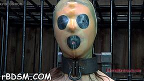 punishing the brunette babe with bdsm toys and blowjob in slave fetish scene?