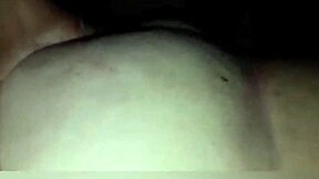 Knuller hor på alle fire på sofaen