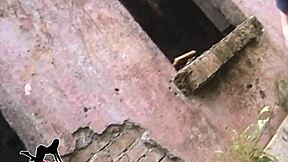 teen 18+ brunette gets assfucked by monster cock in car