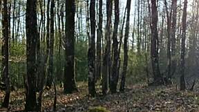 Blonde slave bent over for outdoor humiliation session in 2025.