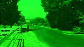 Slut Red Hair Milf Audrey Hollander Fucks Outdoor!