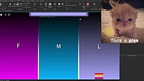 Condo Showcase with Silly Activities