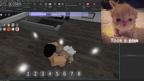 Condo Showcase with Silly Activities