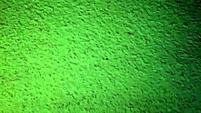 emy angel with her little vagina not son stuff