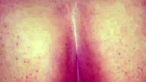 La Puta del Barrio Screams as I Slam Her Hard!