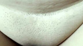 Exploring Motels in Mexico: Bizou’s Hot Doggystyle in Querétaro