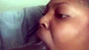 big black cock gets attention