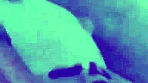 אישה לטינית נתפסת מזיינת בסגנון כלב על מצלמה נסתרת