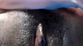 Animated brunette pussy on webcam display