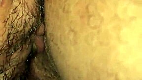 Yellowbone three zero four