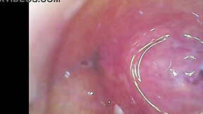 Watch Real Pussy Orgasm Contractions! Sperm Discovered In Juice Under Microscope!