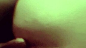 Miya Triez - Puta Do Corno