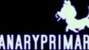 Canaryprimary delivers steamy blowjob in non-aggression pact scene